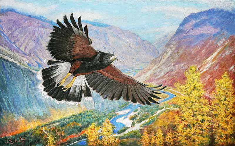 ������� ����