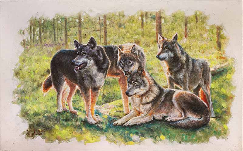 ��������� �� ������