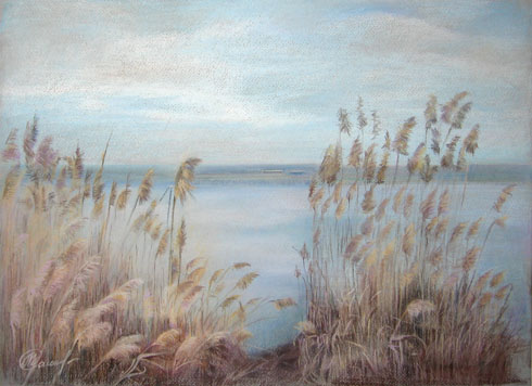 ����� �������. ����������. �����: 